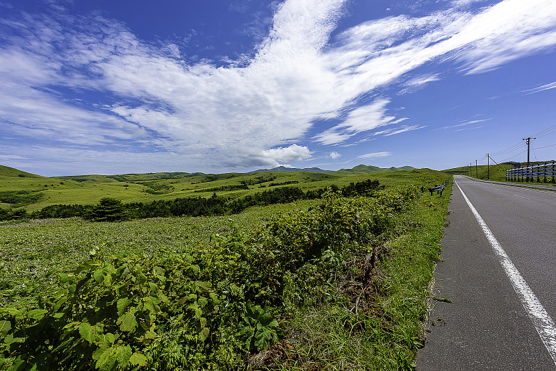 日本里本岛的夏季乡村公路