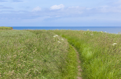 英国约克郡Flamborough Head的海岸步道