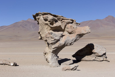 沙漠中的arbol de piedra