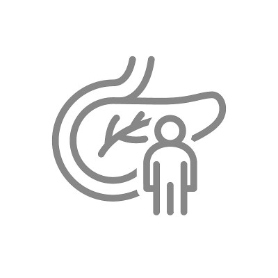 胰腺与人线图标。人体消化系统和内分泌系统的象征