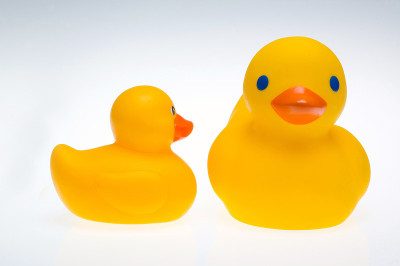橡胶Ducks7