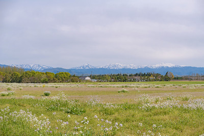 农村的场景