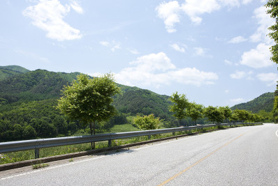 路