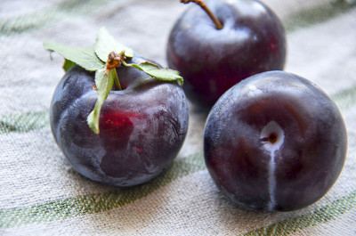 Susine viola