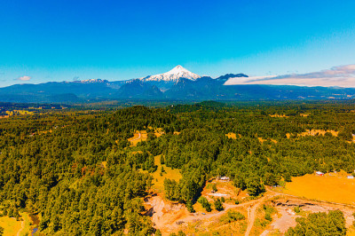 智利维拉里卡火山以山脉和树木景观