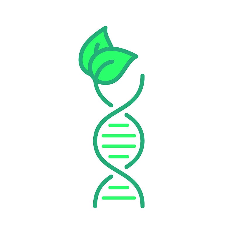 带有绿叶图标的DNA螺旋。生物技术科学的标志。