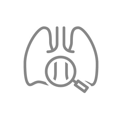 肺与放大镜线图标。器官研究，健康分析，疾病预防标志