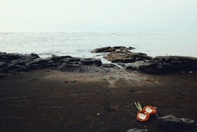 热带梦幻般的太平洋海景从海岸到岩石和火山黑沙和一个开放的椰子