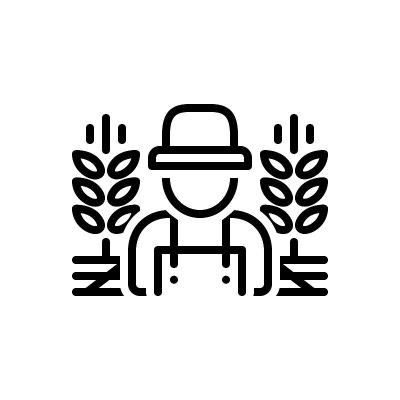 农村的国家