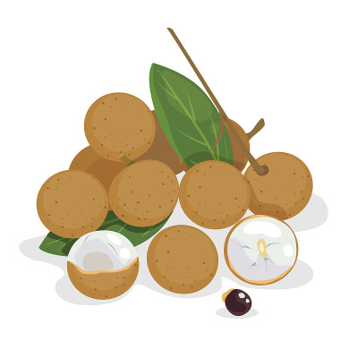 longan