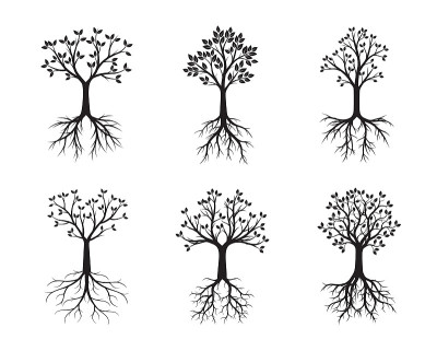 一组黑树。矢量插图。自然和花园。