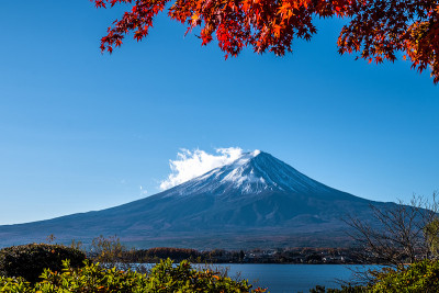 富士山，美丽的秋叶