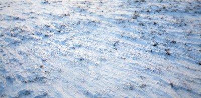 雪和冰