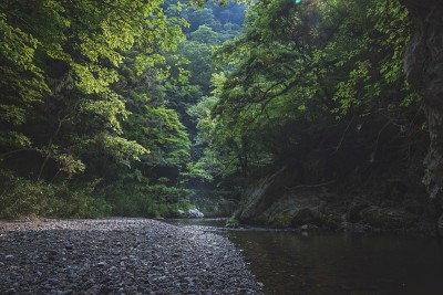 河