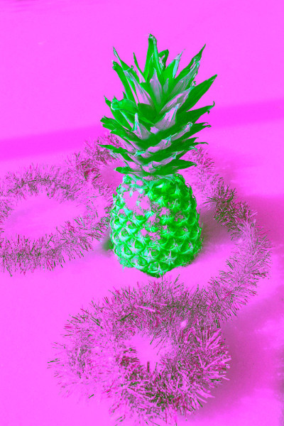 雪中的菠萝