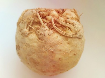 块茎细胞群