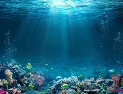 水下场景-有珊瑚礁和阳光的热带海床。