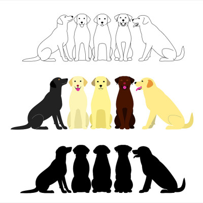 一组拉布拉多寻回犬