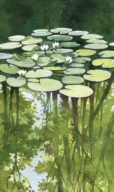 池塘