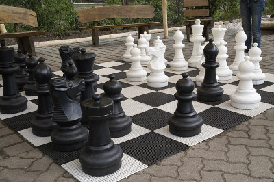 街象棋1