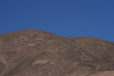阿塔卡马沙漠Cerro Pintados的岩石雕刻