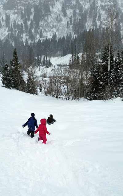 孩子们在雪山里玩耍