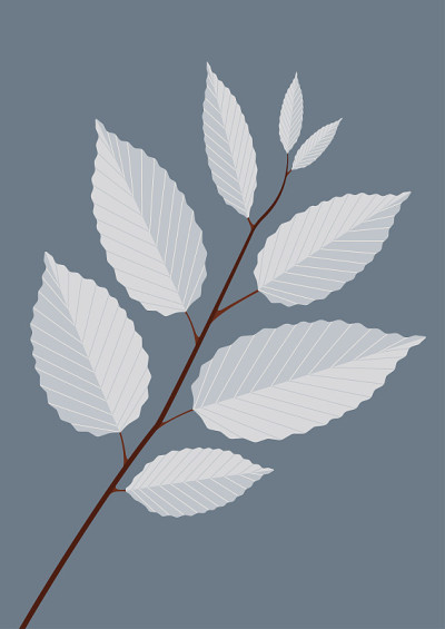 季节
