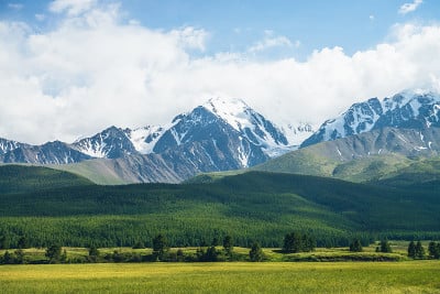 阳光明媚的山景与生动的绿色森林山上和雪山在阳光下低云。风景优美的高山雪山在阳光下多云的天空在多变的天