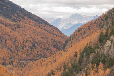 达沃斯附近的弗鲁特拉山口的秋景。
