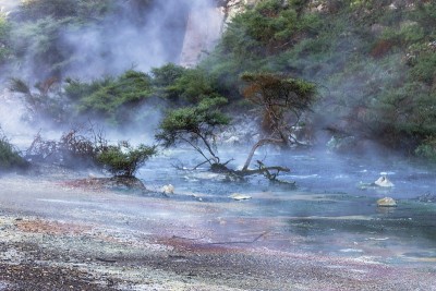 蒸汽从新西兰温暖的火山水中升起。