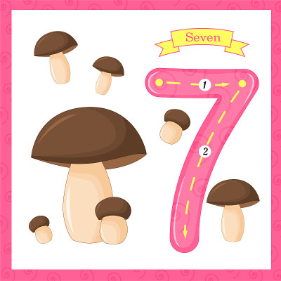 可爱的儿童抽认卡1追踪7个蘑菇，供孩子学习数数和写字。学习数字0-10，闪存卡，教育学前活动，儿童工
