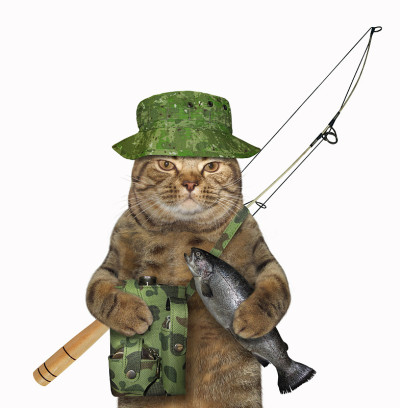 猫捉鱼