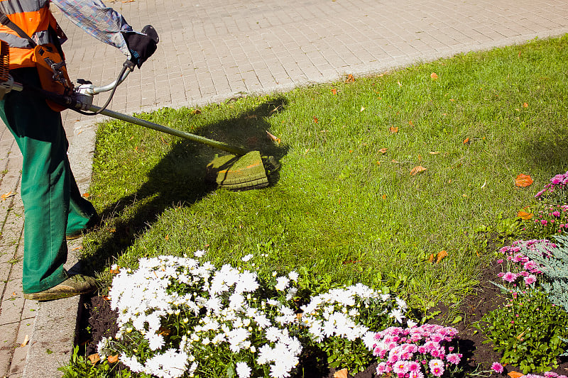 Autumn work in the park. The gardener cuts the gra