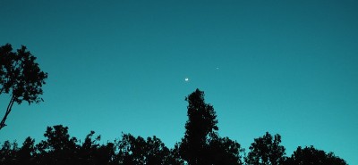 夜空中的同伴