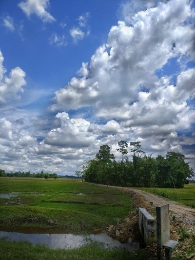 Cloudscape
