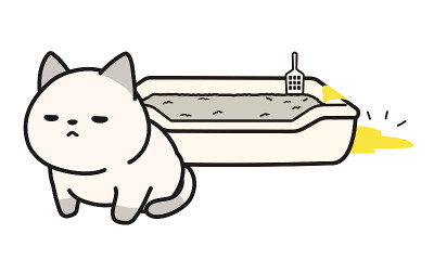 猫砂盒里的尿漏了