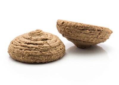 可可饼干孤立在白色