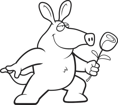 Aardvark花