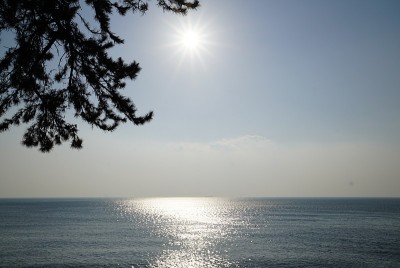阳光和大海