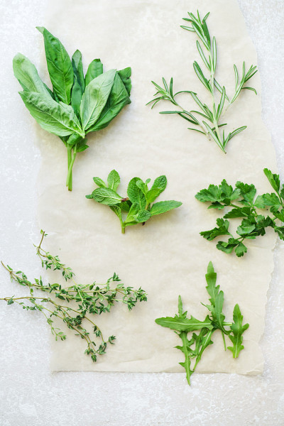 白色背景上的新鲜烹饪香草:迷迭香，百里香，薄荷，芝麻菜，罗勒和欧芹小束
