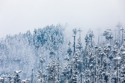 降雪