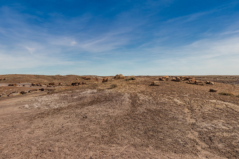 Rough desert terrain filled with petrified wood, P