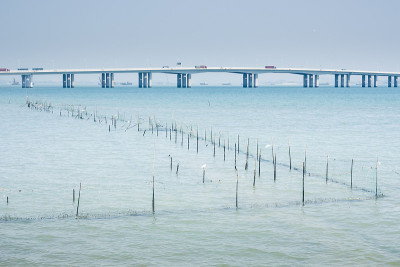 桥梁和海洋农场