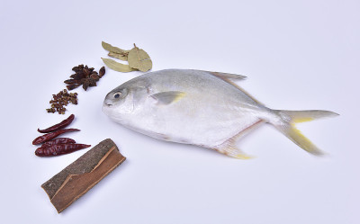 Fresh pompano and a variety of spices on white bac