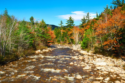 秋日Swift River