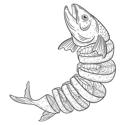 手画的鱼素描切成碎片