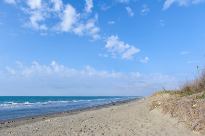 美丽的海滩