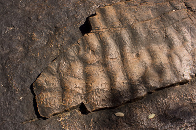 古代岩石涟漪