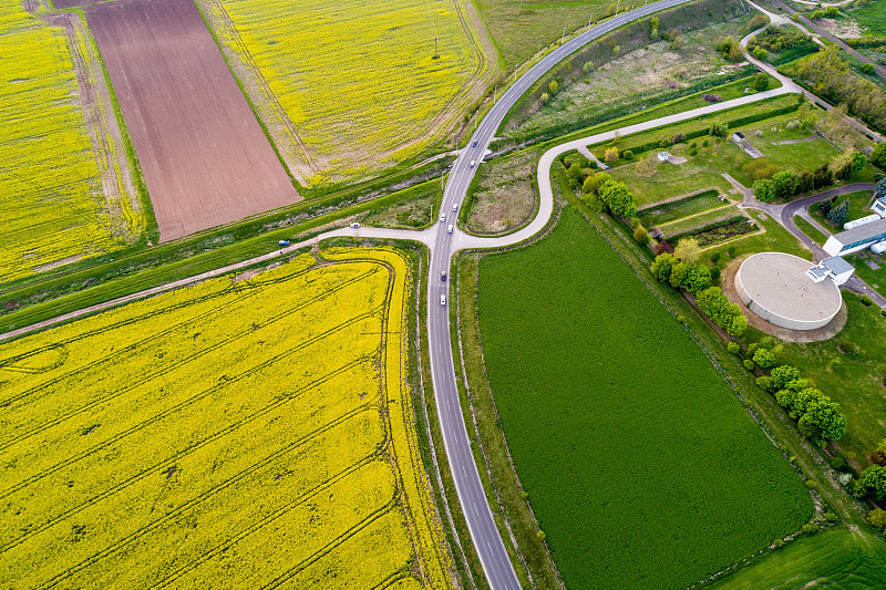 有高速公路的油菜田