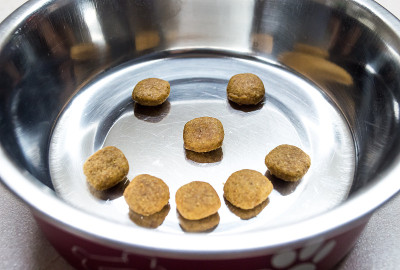 宠物食品在一个快乐的脸在碗近距离
